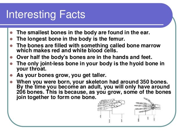 The human body systems2