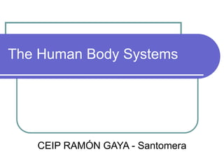 The Human Body Systems
CEIP RAMÓN GAYA - Santomera
 