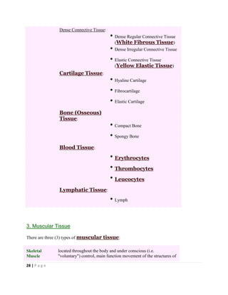 28 | P a g e
Dense Connective Tissue:
Dense Regular Connective Tissue
(White Fibrous Tissue)
Dense Irregular Connective Tissue
Elastic Connective Tissue
(Yellow Elastic Tissue)
Cartilage Tissue:
Hyaline Cartilage
Fibrocartilage
Elastic Cartilage
Bone (Osseous)
Tissue:
Compact Bone
Spongy Bone
Blood Tissue:
Erythrocytes
Thrombocytes
Leucocytes
Lymphatic Tissue:
Lymph
3. Muscular Tissue
There are three (3) types of muscular tissue:
Skeletal
Muscle
located throughout the body and under conscious (i.e.
"voluntary") control, main function movement of the structures of
 