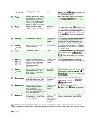 35 | P a g e
(pl. meati) extending within a bone. bone
temporal bone, forming the part
of the skull behind the ear.
16. Neck A section of bone (esp. of long
bones) between the "head" and
the "shaft" of the bone, the
"neck" of a bone is a narrowed
portion, usually located at the
base of the "head" of the bone.
Neck of the femur below the top "head" of
the femur (bone), upper-leg.
17. Notch A V-like depression in the
margin or edge of a flat area
Articulatory
surface
The radial notch of the ulna (inner bone
of the lower forearm) is a narrow, oblong,
articular depression on the lateral side of the
coronoid process; it articulates with the head
of the radius (outer bone of the lower
forearm).
18. Process A raised area or projection Process - attach
connective
tissues
The vertebrae have transverse process(es)
and spinous process(es) which are, in
general, more pronounced the lower the
position of the vertebrae down the spine.
19. Ramus
(pl. rami)
Curved portion of a bone, like a
ram's horThe trans
Curved surface The inferior pubic ramus and the superior
pubic ramus are features of the lower part
of the pelvis bone.
20. Sinus Cavity within a bone Cavity The sphenoidal sinuses are the semi-open
areas enclosed by the sphenoid
bone that act as drains from the nasal
cavity.
21. Spine or
Spinous
process
Similar to a crest but raised
higher; a sharp, pointed, slender
projection. Such sharp raised
projections called spines are
often sites for muscle
attachment.
Process - attach
connective
tissues
The spinous processes of vertebrae,
which together form the "spine" (backbone).
22. Sulcus
(pl. sulci)
Groove, crevice or furrow. Such
elongated depressions may
accommodate a blood vessel,
nerve or tendon.
Channel-like
depression
Sigmoid sulcus on the inner surface of the
mastoid portion of the temporal
bone(s) - which form part of the skull
(behind the ears).
23. Trochanter Large blunt bump-like projection
(larger than a tuberosity, which
is in turn larger than a tubercle)
Process - attach
connective
tissues
Only one human example: the greater
trochanter at the top of the femur
(bone), upper-leg.
24. Tuberosity Large rounded or oblong
projection that may look like a
raised bump. Such
rounded/oblong projections
called tuberosities are often sites
for muscle attachment.
Process - attach
connective
tissues
The deltoid tuberosity of the
humerus (bone), upper-arm.
25. Tubercle Small tuberosity that may also
be described as a round nodule
or warty outgrowth.
Process - attach
connective
tissues; can also
form articular
surfaces
The non-articular part of each rib tubercle
attaches to the ligament of the tubercle.
Note: This table lists bone markings and features on bones in alphabetical order. It is a numbered list because some
people find it easier to remember sets of information by also remembering how many of each type of item they have to recall.
 