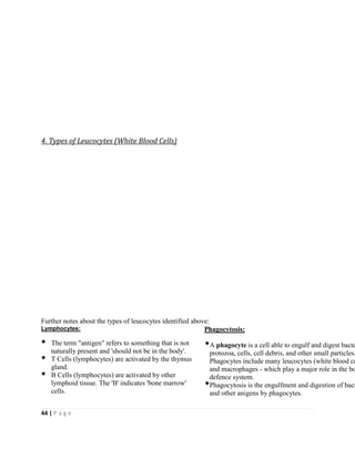 44 | P a g e
4. Types of Leucocytes (White Blood Cells)
Further notes about the types of leucocytes identified above:
Lymphocytes:
The term "antigen" refers to something that is not
naturally present and 'should not be in the body'.
T Cells (lymphocytes) are activated by the thymus
gland.
B Cells (lymphocytes) are activated by other
lymphoid tissue. The 'B' indicates 'bone marrow'
cells.
Phagocytosis:
A phagocyte is a cell able to engulf and digest bacte
protozoa, cells, cell debris, and other small particles.
Phagocytes include many leucocytes (white blood ce
and macrophages - which play a major role in the bo
defence system.
Phagocytosis is the engulfment and digestion of bact
and other anigens by phagocytes.
 