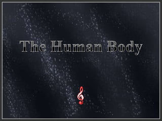 The Human Body 