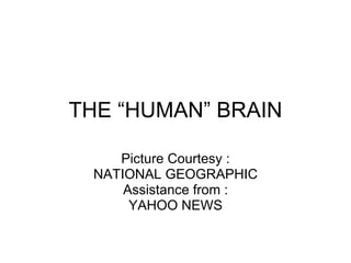 THE “HUMAN” BRAIN Picture Courtesy : NATIONAL GEOGRAPHIC Assistance from : YAHOO NEWS 