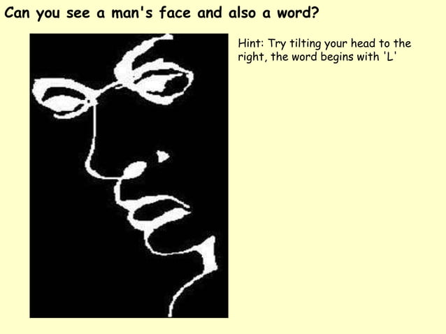 The Human Brain | PPS