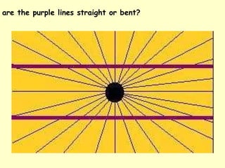 are the purple lines straight or bent?   
