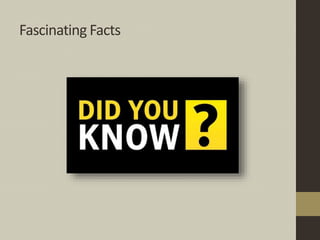 Fascinating Facts
 