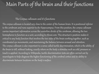 Main Parts of the brain and their functions
The Corpus callosum and it’s functions
The corpus callosum is located very close to the center of the human brain. It is positioned inferior
to the cerebrum and runs superior to the hippocampus. From this position, the corpus callosum
carries important information across the centerline divide of the cerebrum, allowing the two
hemispheres to function as a unit, according to About.com. This structure's position makes it
critical to any body function that involves the two sides of the brain working together, such as
coordinated eye movements, and maintaining the balance between arousal and attention.
The corpus callosum is also important to a sense called tactile discrimination, which is the ability of
the brain to tell, without looking, exactly where on the body a stimulus such as cold, pressure or
touch is applied. According to Wikipedia, tactile discrimination tests are often carried out by
neurologists to help diagnose the higher functioning of the cerebral cortex and its ability to
discriminate between locations on the body's surface.
 