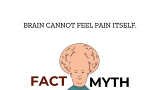 FACT MYTH
BRAIN CANNOT FEEL PAIN ITSELF.
 