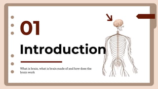 Introduction
01
What is brain, what is brain made of and how does the
brain work
 