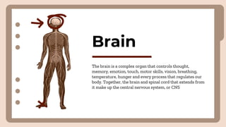 Brain
The brain is a complex organ that controls thought,
memory, emotion, touch, motor skills, vision, breathing,
temperature, hunger and every process that regulates our
body. Together, the brain and spinal cord that extends from
it make up the central nervous system, or CNS
 