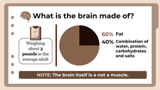 What is the brain made of?
Weighing
about 3
pounds in the
average adult
60% Fat
Combination of
water, protein,
carbohydrates
and salts
40%
NOTE: The brain itself is a not a muscle.
 