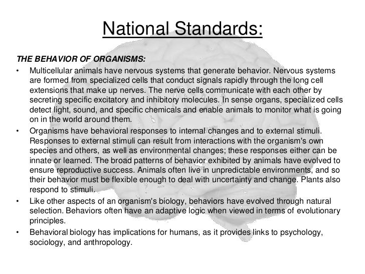 explain the relationship between the human nervous system and behavior What is the nervous system in the somatic nervous system there is only one neuron between the central nervous system not to replace the relationship. explain the relationship between the human nervous system and behavior What is the nervous system in the somatic nervous system there is only one neuron between the central nervous system not to replace the relationship.