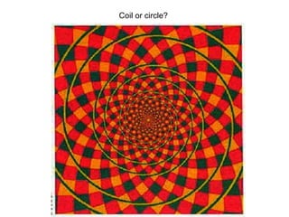 Coil or circle?  