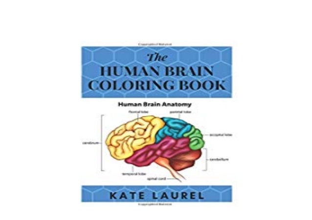 EBOOK_PAPERBACK The Human Brain Coloring Book Human Brain Students Se… EBOOK_PAPERBACK The Human Brain Coloring Book Human Brain Students Se…