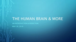 THE HUMAN BRAIN & MORE
AN INTRODUCTION & DISSECTION
MAY 30, 2018
 