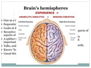 The human brain presentation | PPT