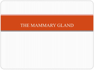 THE MAMMARY GLAND
 