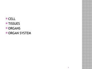 The Structure of the human cell and functions | PPTX