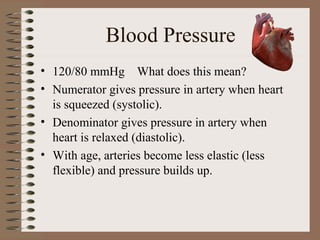 Blood Pressure
• 120/80 mmHg What does this mean?
• Numerator gives pressure in artery when heart
  is squeezed (systolic).
• Denominator gives pressure in artery when
  heart is relaxed (diastolic).
• With age, arteries become less elastic (less
  flexible) and pressure builds up.
 
