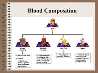 Blood Composition
 