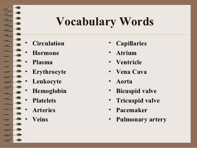list of vocabulary words - Bing