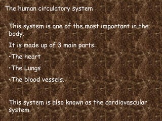 The human circulatory system

 This system is one of the most important in the
 body.
 It is made up of 3 main parts:
 •The heart
 •The Lungs
 •The blood vessels.


 This system is also known as the cardiovascular
 system.
 