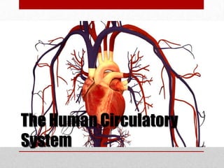 The Human Circulatory
System
 