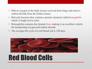 Red Cell Function The human circulatory system | PPTX
