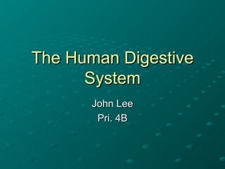 The Human Digestive System John Lee Pri. 4B 