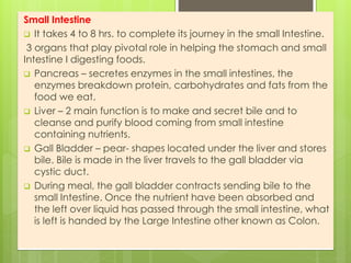 Small Intestine
 It takes 4 to 8 hrs. to complete its journey in the small Intestine.
3 organs that play pivotal role in helping the stomach and small
Intestine I digesting foods.
 Pancreas – secretes enzymes in the small intestines, the
enzymes breakdown protein, carbohydrates and fats from the
food we eat.
 Liver – 2 main function is to make and secret bile and to
cleanse and purify blood coming from small intestine
containing nutrients.
 Gall Bladder – pear- shapes located under the liver and stores
bile. Bile is made in the liver travels to the gall bladder via
cystic duct.
 During meal, the gall bladder contracts sending bile to the
small Intestine. Once the nutrient have been absorbed and
the left over liquid has passed through the small intestine, what
is left is handed by the Large Intestine other known as Colon.
 