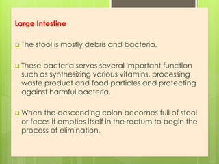 Large Intestine
 The stool is mostly debris and bacteria.
 These bacteria serves several important function
such as synthesizing various vitamins, processing
waste product and food particles and protecting
against harmful bacteria.
 When the descending colon becomes full of stool
or feces it empties itself in the rectum to begin the
process of elimination.
 