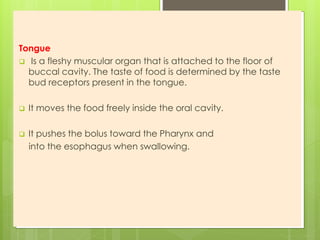 Tongue
 Is a fleshy muscular organ that is attached to the floor of
buccal cavity. The taste of food is determined by the taste
bud receptors present in the tongue.
 It moves the food freely inside the oral cavity.
 It pushes the bolus toward the Pharynx and
into the esophagus when swallowing.
 