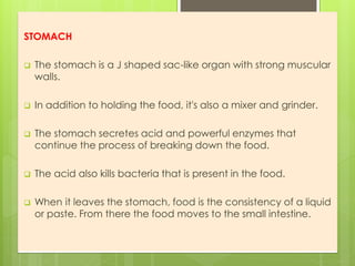 STOMACH
 The stomach is a J shaped sac-like organ with strong muscular
walls.
 In addition to holding the food, it's also a mixer and grinder.
 The stomach secretes acid and powerful enzymes that
continue the process of breaking down the food.
 The acid also kills bacteria that is present in the food.
 When it leaves the stomach, food is the consistency of a liquid
or paste. From there the food moves to the small intestine.
 