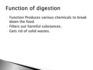  Function Produces various chemicals to break
down the food.
 Filters out harmful substances.
 Gets rid of solid wastes.
 