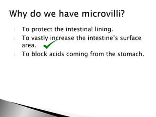 1. To protect the intestinal lining.
2. To vastly increase the intestine’s surface
area.
3. To block acids coming from the stomach.
 