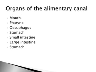  Mouth
 Pharynx
 Oesophagus
 Stomach
 Small intestine
 Large intestine
 Stomach
 