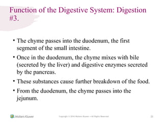 THE HUMAN DIGESTIVE SYSTEM human anatomy and physiology | PPTX