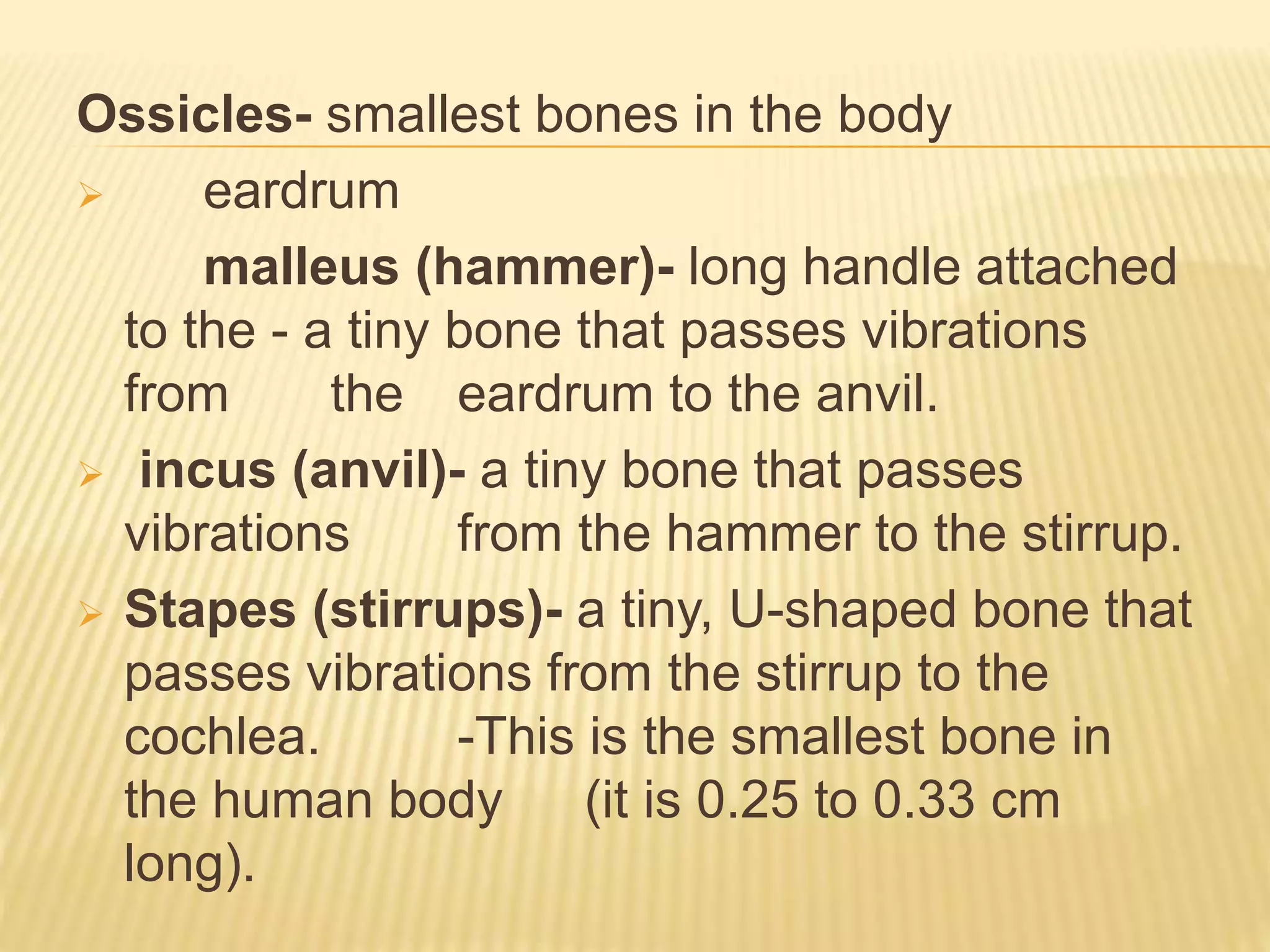 The human ear | PPTX