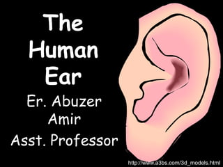 The
Human
Ear
Er. Abuzer
Amir
Asst. Professor
http://www.a3bs.com/3d_models.html
 