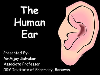 The
Human
Ear
Presented By-
Mr.Vijay Salvekar
Associate Professor
GRY Institute of Pharmacy, Borawan.
 