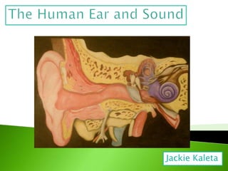 The Human Ear and Sound Jackie Kaleta 