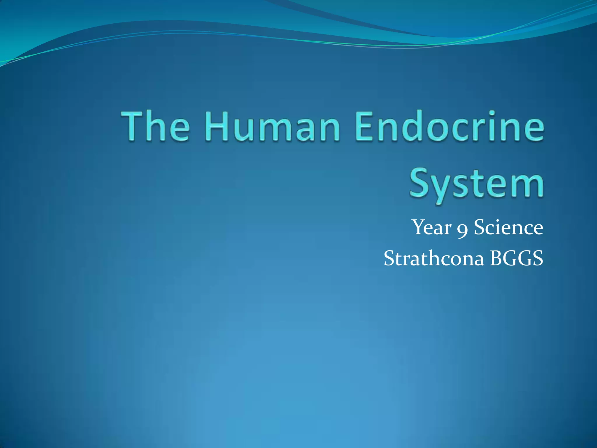The Human Endocrine System PPT