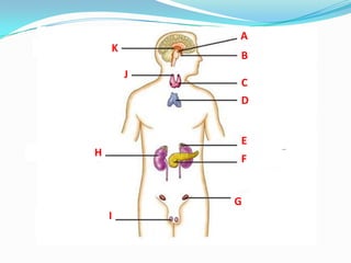 A
    K
            B
        J
            C
            D


            E
H
            F


            G
    I
 