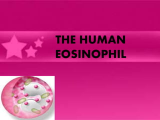 THE HUMAN
EOSINOPHIL
 