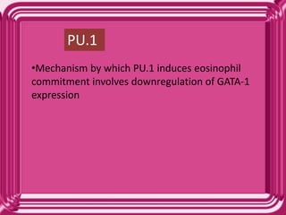 PU.1
•Mechanism by which PU.1 induces eosinophil
commitment involves downregulation of GATA-1
expression
 