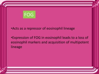 FOG
•Acts as a repressor of eosinophil lineage
•Expression of FOG in eosinophil leads to a loss of
eosinophil markers and acquisition of multipotent
lineage
 