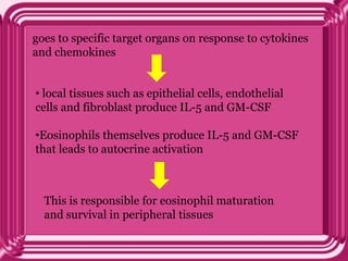 goes to specific target organs on response to cytokines
and chemokines
• local tissues such as epithelial cells, endothelial
cells and fibroblast produce IL-5 and GM-CSF
•Eosinophils themselves produce IL-5 and GM-CSF
that leads to autocrine activation
This is responsible for eosinophil maturation
and survival in peripheral tissues
 