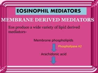 EOSINOPHIL MEDIATORS
MEMBRANE DERIVED MEDIATORS
Eos produce a wide variety of lipid derived
mediators-
Membrane phospholipids
Arachidonic acid
Phospholipase A2
 