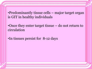 •Predominantly tissue cells – major target organ
is GIT in healthy individuals
•Once they enter target tissue – do not return to
circulation
•In tissues persist for 8-12 days
 