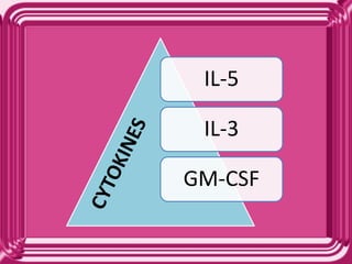 IL-5
IL-3
GM-CSF
 